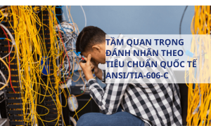 Tầm quan trọng của việc đánh dấu nhãn cáp theo chuẩn quốc tế ANSI/TIA-606-C đối với các nhà quản lý IT và nhà tích hợp hệ thống